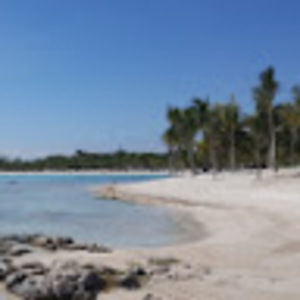 Meet your Posher, Lucas